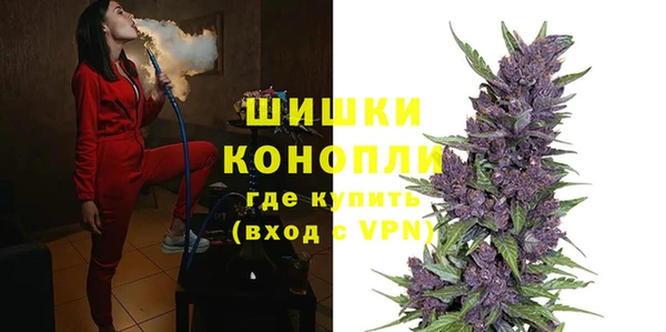 шишки Надым