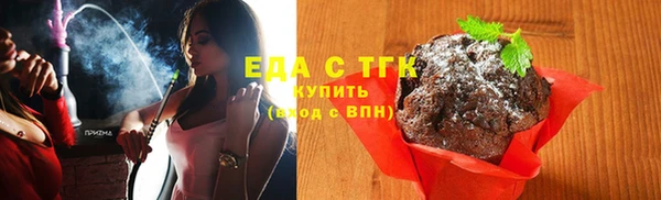 шишки Надым