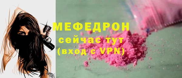 шишки Надым
