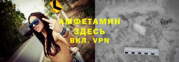 шишки Надым