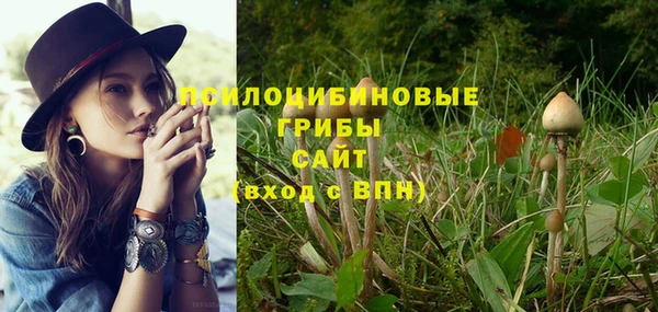 гидропоника Наволоки