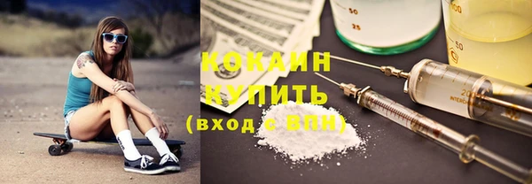 шишки Надым