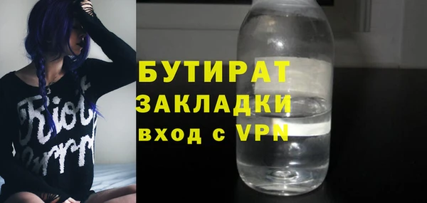 шишки Надым