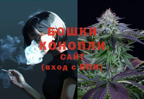 шишки Надым
