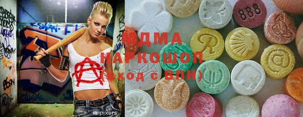 шишки Надым