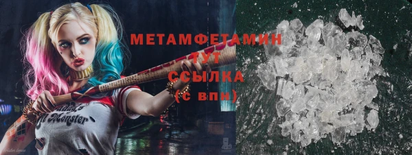 шишки Надым