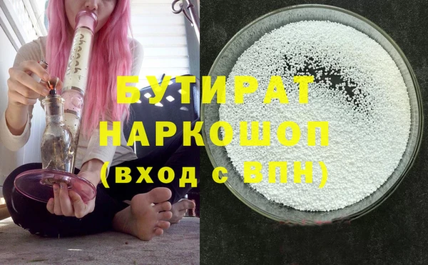 шишки Надым