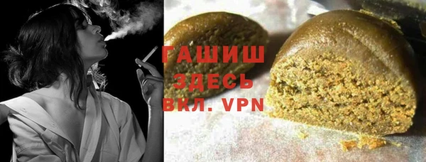 шишки Надым