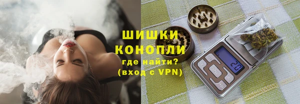шишки Надым